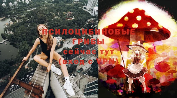 прущая мука Дмитриев